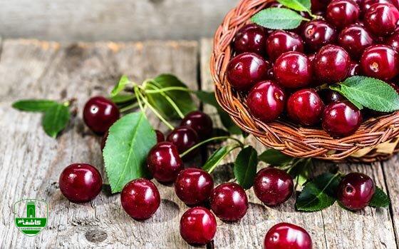 آنتی‌اکسیدانی قوی در سبد میوه تابستانی/ خواص شگفت انگیز این میوه خوشمزه برای سلامتی