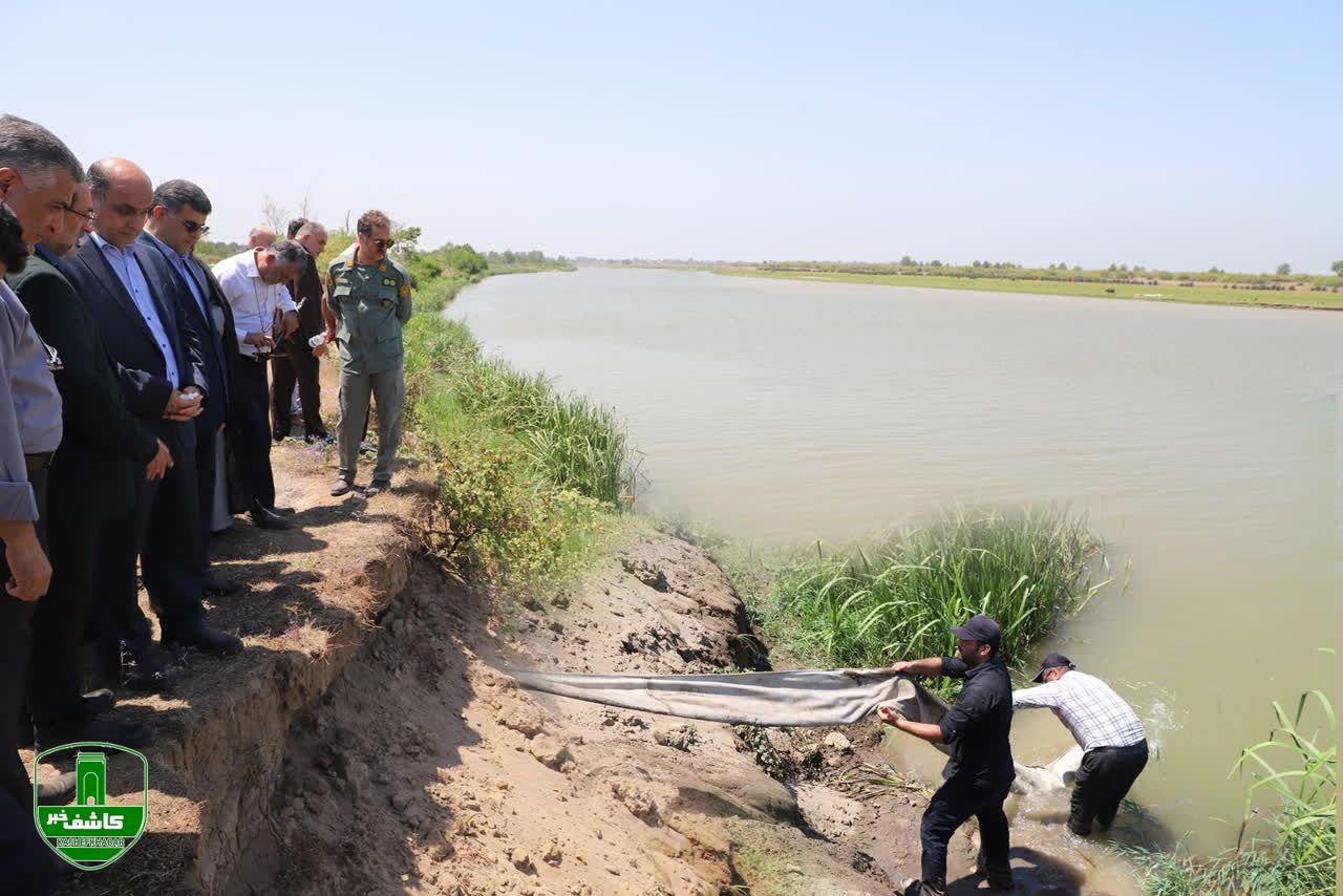 با حضور استاندار صورت پذیرفت؛ نخستین رهاسازی ماهی نادر «شیب» پس از ۱۵ سال تحقیق در گیلان