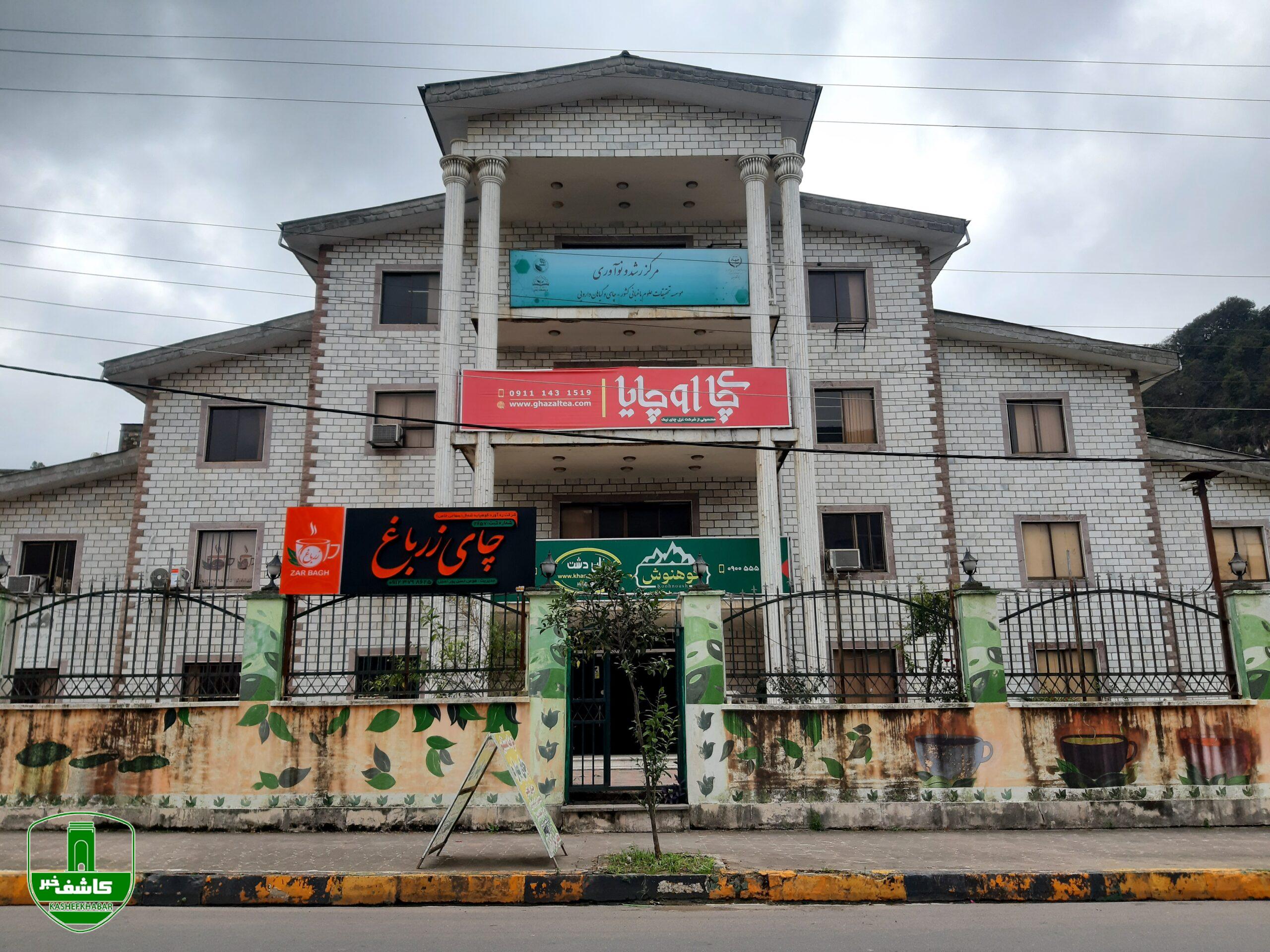 پژوهشکده چای پاسخ دهد؛ علم روی کاغذ یا راهحل برای چایکاران؟