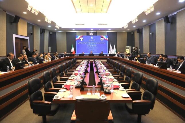 طاعتی مقدم در نشست مدیران عامل مناطق آزاد کشور با حضور وزیر اقتصاد و دبیر شورایعالی مناطق آزاد مطرح کرد؛ ۵۰ همت طرح های سرمایه گذاری در دست اجرا در منطقه آزاد انزلی