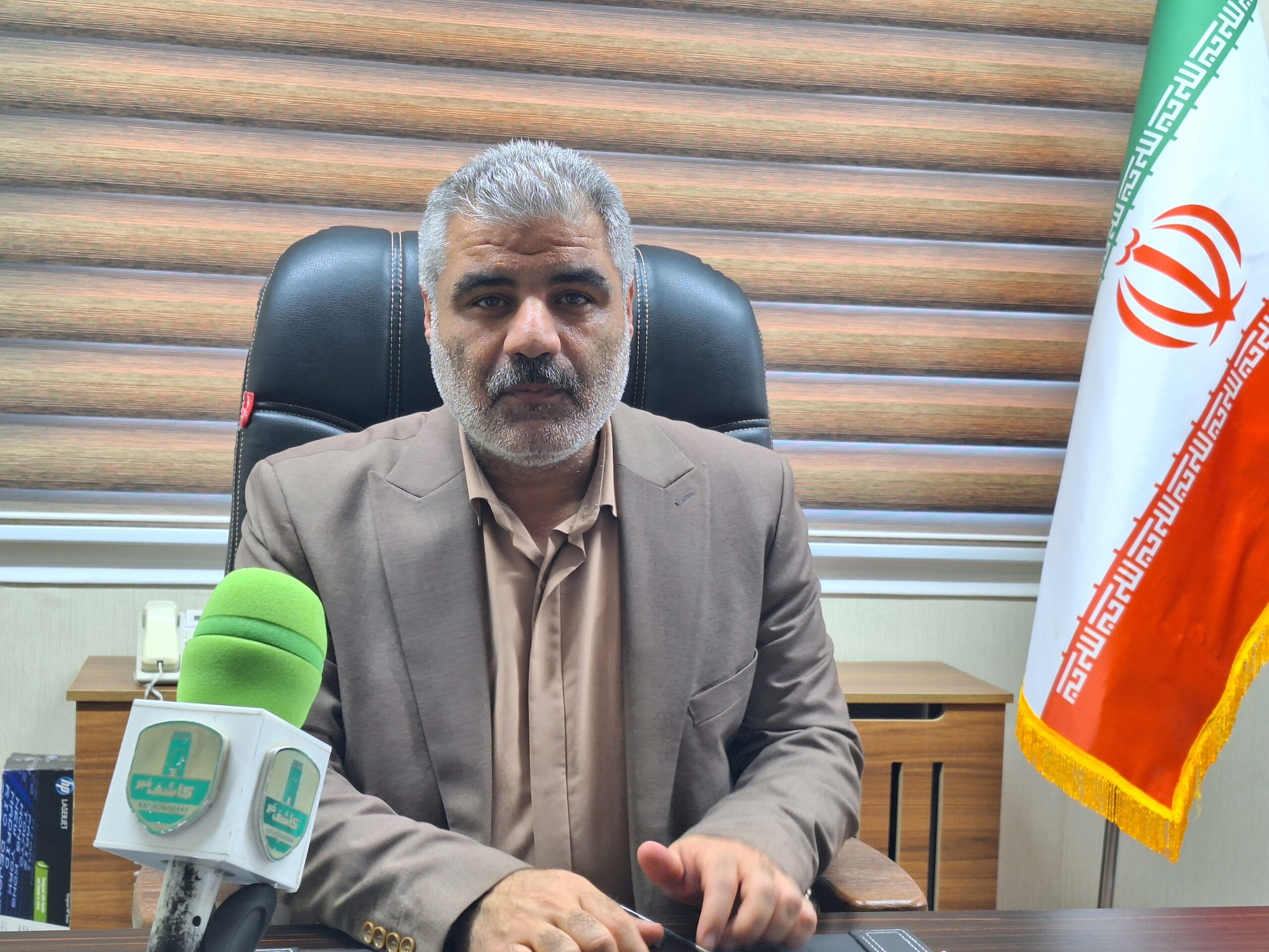 برداشت برنج در ۲۰ درصد شالیزارهای لاهیجان؛ برنامه‌ریزی برای حمایت از نوغان‌داران