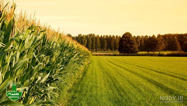 درخواست جمعی کشاورزان لفمجان از استاندار گیلان برای بررسی افزایش آب‌بهای زراعی